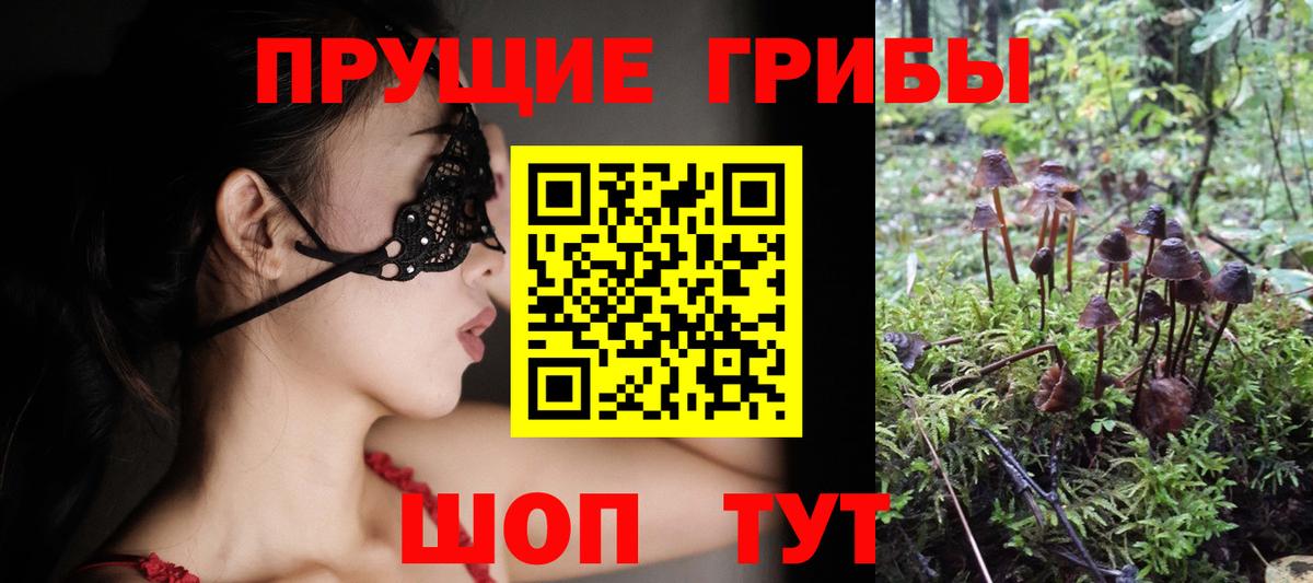 Псилоцибиновые грибы MAGIC MUSHROOMS  Вход с VPN  Бирск 