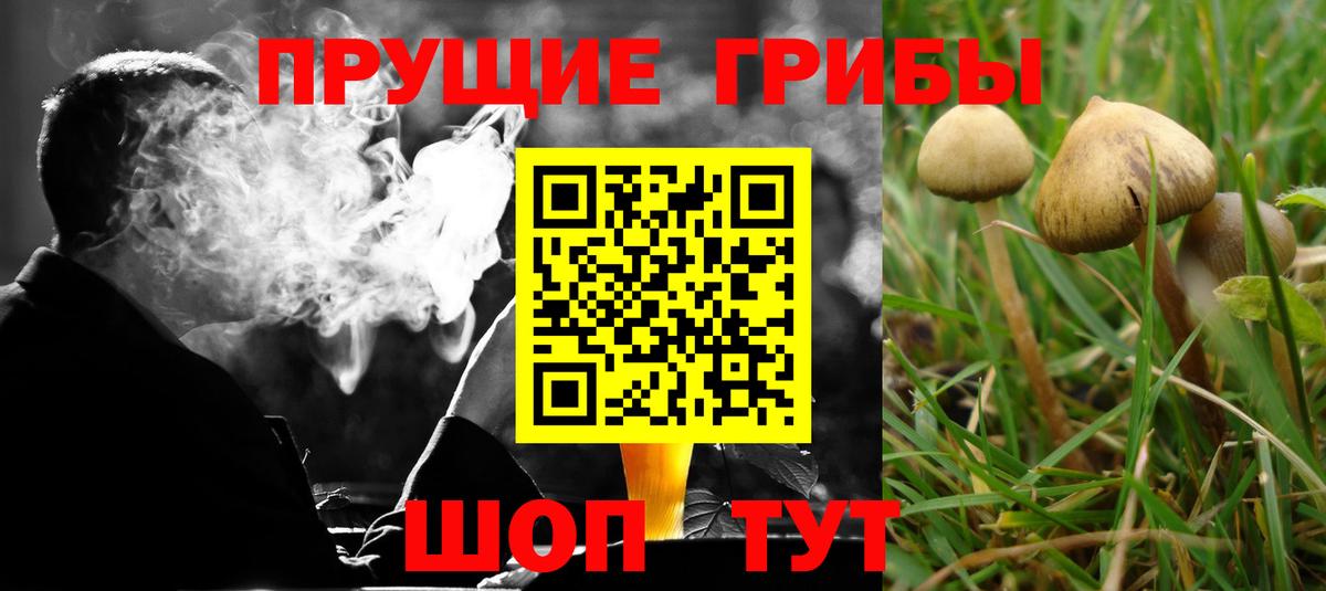 Галлюциногенные грибы GOLDEN TEACHER Бирск